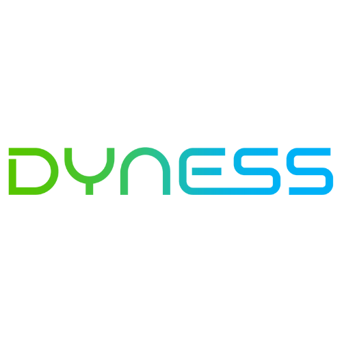 Dyness